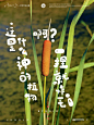 手写字字体设计春天夏天小清新文字音乐海报 - 小红书