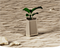 charger color concept industrial design  Office plants portfolio product design  smartphone Wireless Charger