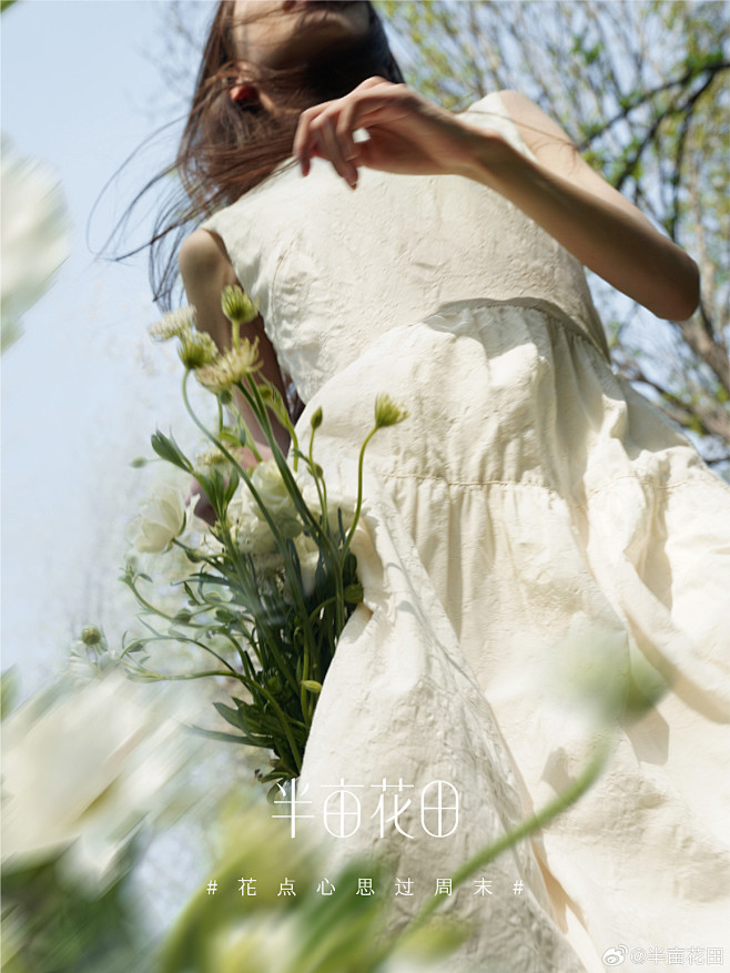 @半亩花田 的个人主页 - 微博