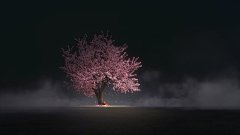 《少年锦衣卫》人物传——袁小棠