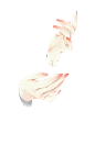 爪子