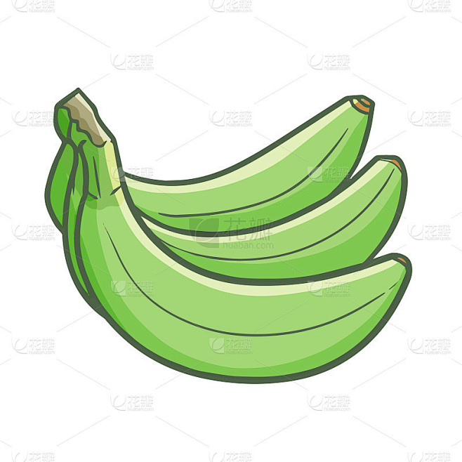 green-long-banana-ready-to-eat-or-cook