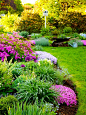 Gardens and Landscaping / .