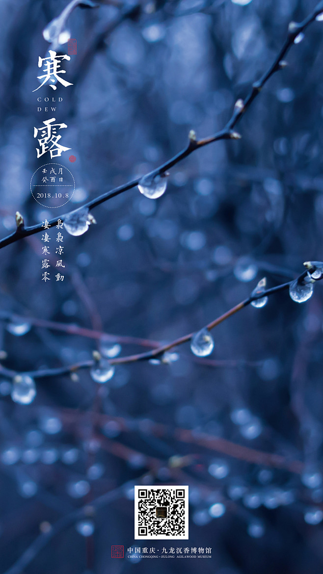 寒露 节气海报