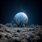 brandflow_Hyper_realisticSilver_ufos_with_blue_led_electronic_l_7aff69e4-b9af-4a5d-84ca-03b86d8b9e6e.png (1664×1664)