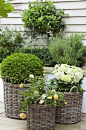 Pretty basket planters in the garden: 