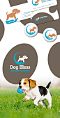 Dog Bless企业形象 DESIGN³设计创意 展示详情页 设计时代