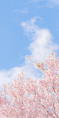 春暖花开 奔你而来

-
#樱花季# ｜#随手拍身边的春天#｜ #摄影# 2日本 ​​​​
