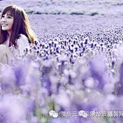 花瓣abc的发放
