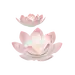 C4D国潮莲花模型免抠装饰素材