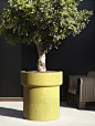 IgigantI by antoniolupi | Plant pots