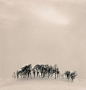 michael kenna_百度图片搜索