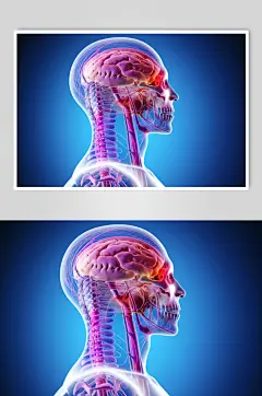 AI数字艺术医疗大脑图片