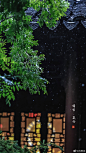 夏雨｜瞻园
听雨眠，一蓑烟雨枕江南。
#夏天该有的样子##最南京，全民拍##遇见美好时光# ​​​#就要这young拍#  ​​​  ​​​  ​​​ 2南京·瞻园 ​​​​