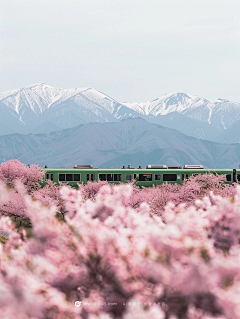 lightstone采集到风景