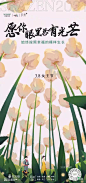 女神节