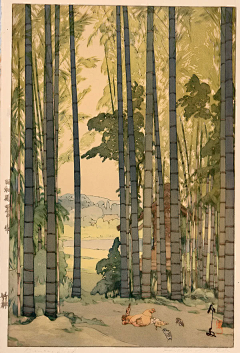 Bwv0AIqs采集到风景画
