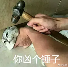 莫装逼，装逼遭雷劈……来看看一些表情包的后续故事 ​​​​