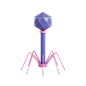 Virus 2