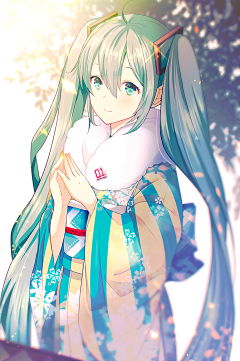 Felcity采集到初音ミク殿下