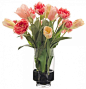 NP71125-215_large.jpg