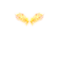 Comp 13_00001