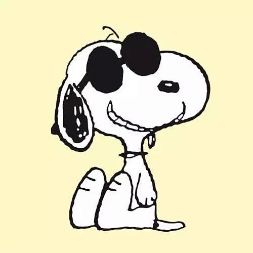 史努比之父走的时候为我们留下了两个灵魂那个善良真