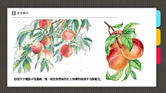 少儿6-8岁 油画棒 水彩 树上的水蜜桃—美术课件 - 百度文库