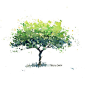 Reminder: Tree Painting Watercolor Class