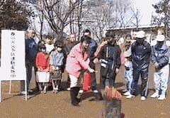 岁迁安季-绊山夕采集到GIF...段子--2