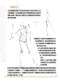 胸肌加蘑菇采集到人物素描的设计和创意