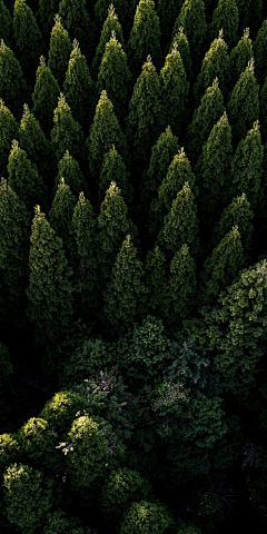 矛盾体__采集到摄影、风景