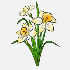 水仙花卉卡通手绘图图片大小2000x2000px 图片尺寸937.66 KB 来自PNG搜索网 pngss.com 免费免扣png素材下载！白色#花卉#花蕊#卡通手绘#绿色#绿叶#圣洁#盛开花朵#矢量图#手绘#水仙#水中仙子#鲜花#