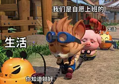 探探猫表情包：我以为我会暴富，但是我没有……04