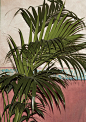 Exotic blooms and lush plants on the season's accessories and men's jackets.  : Dark Paradise