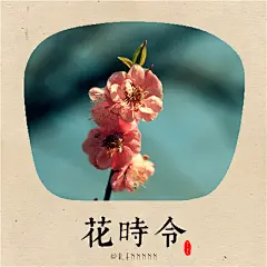 春日迟迟，卉木萋萋。仓庚喈喈，采蘩祁祁 。欢迎关注我的微博  @Rennnnn。。 #小清新# #壁纸# #头像# #摄影# #春天# #花时令# #花卉# #花# #花朵# 