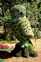 Owl Topiary: 