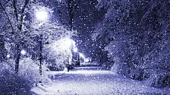 高清晰冬季公园的夜景壁纸封面大图