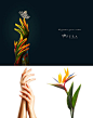 Pera Diamond Retouch on Behance@北坤人素材