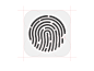 Touch ID icon construction