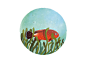 IN THE CORAL REEF : Illustrations depicting the coral reef fish life , card game design, for a client from Kuwait.  