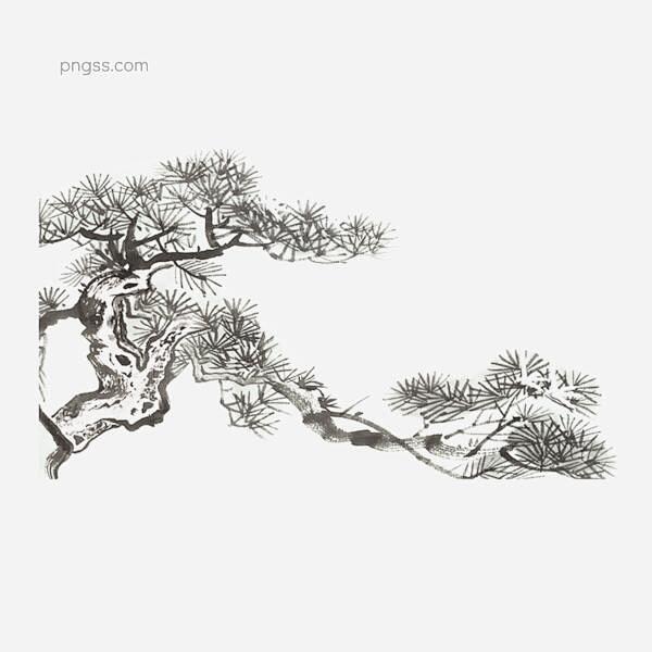 手绘松树枝卡通透明素材图片大小1024x...