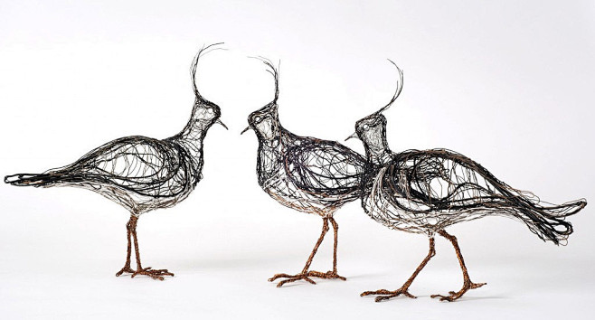 Bird Sculptures Cons...