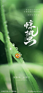 地产惊蛰海报-源文件-志设网-zs9.com
