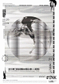 中国海报速递（五九） : 最新华文海报来了！！！