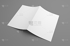 花瓣素材-三维图形采集到3D