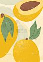 带叶子的成熟芒果。甜芒果水果矢量手绘卡片设计。芒果叶。