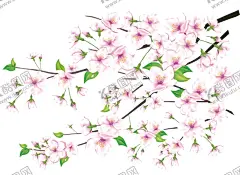 樱花素材 【酷图网】樱花素材,樱花,花朵,浪漫花,装饰花纹,背景素材,粉色樱花,樱花枝,花卉素材,植物,花,粉色的花,樱树,樱树枝,樱枝,樱花元素,春天,春天素材,素材,装饰植物,樱花装饰,手绘樱花,浪漫樱花,日本樱花,樱花图片,樱花节活动,醉美樱花,花瓣,花环,飘落