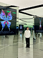 成都看展｜一场关于春天很酷的展虚拟蝴蝶 - 小红书