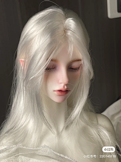 anima08采集到B BJD / 仿真人偶